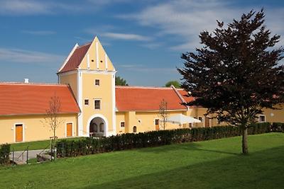 Seminarhotels und Obstgarten in Niederösterreich – Natur direkt vor der Haustüre! Weingarten im Hotel Schüttkasten Geras in Geras