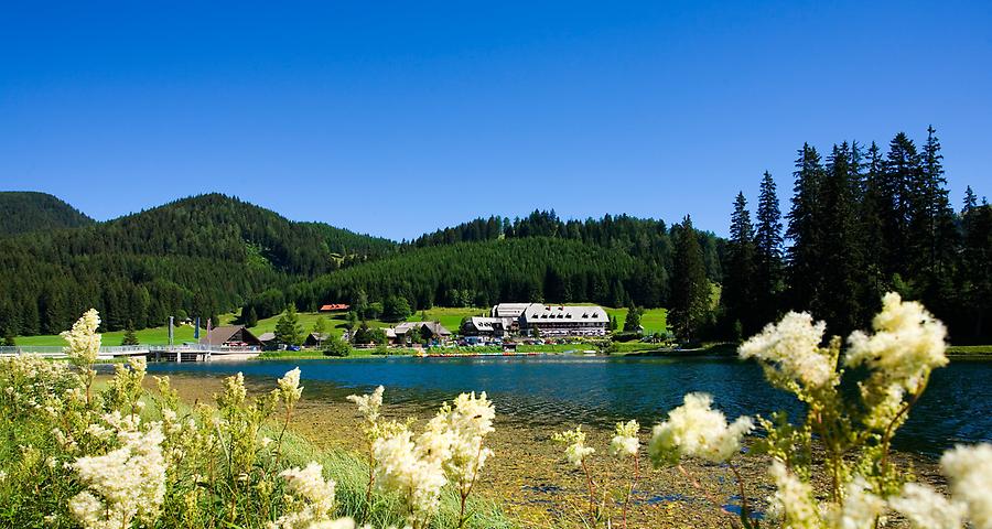 Traumgarten und Hotel Teichwirt in der Steiermark
