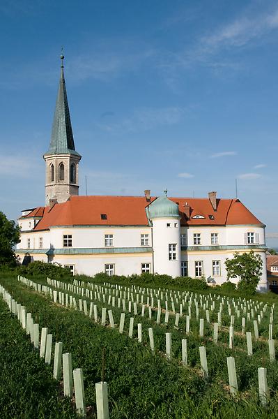 3 Tages Schulungen und Schloss Gumpoldskirchen in Niederösterreich