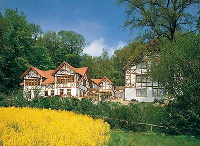 Seminarhotels und Zengarten in Niedersachsen – Natur direkt vor der Haustüre! Gartenweg im Der Waldkater in Rinteln