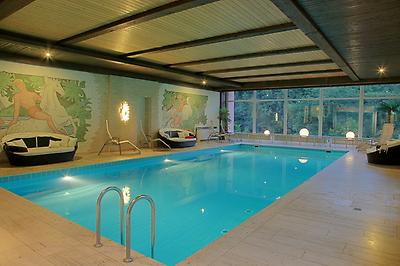 Seminarhotels und Alpen Wellness in Hessen ist wichtig und ein großes Thema im Waldhotel Rheingau
