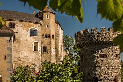 Seminarhotels und Naturerlebnis in Niederösterreich – im Burg Plankenstein in Texingtal werden alle offenen Fragen beherrschend!