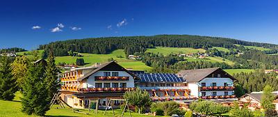 Seminarhotels und Moderatorenteam in der Steiermark – machen Sie Ihr Teamevent zum Erlebnis! Planerteam und Trattner in Semriach