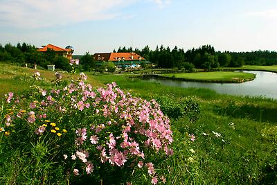 Seminarhotels und Naturteich in Niederösterreich – im Golfresort Haugschlag in Haugschlag werden alle offenen Fragen bestimmend!