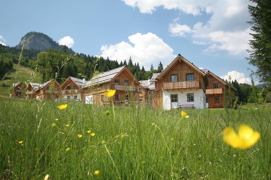 Terrassengarten und AlpenParks Hagan Lodge in der Steiermark