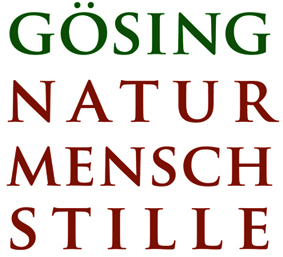  Seminarhotel Alpenhotel Gösing
