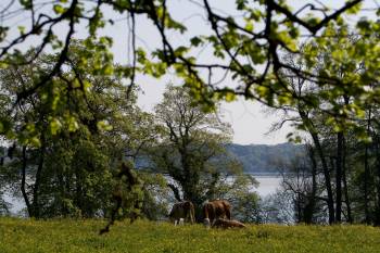 Hotel Seeblick Bernried-Hotel Seeblick Bernried