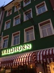 Hotel Waldhorn-Hotel Waldhorn