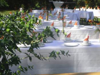 Landhotel Seerose-Landhotel Seerose