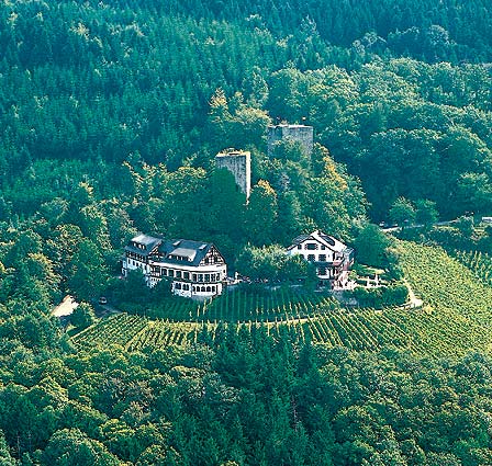 Burg Windeck Hotel und Restaurant-Burg Windeck Hotel und Restaurant