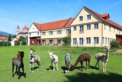 Seminarhotels und Naturbadeteich in der Steiermark – im JUFA Hotel Pöllau in Pöllau werden alle offenen Fragen belangreich!