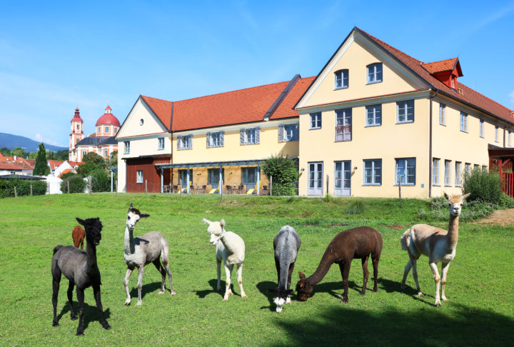 Gartenweg und JUFA Hotel Pöllau in der Steiermark