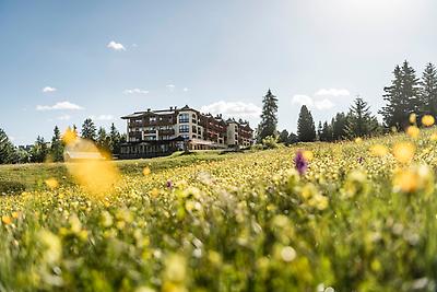 Seminarhotels und Naturerlebnisparks in Italien – im Hotel Steger Dellai in Seiser Al werden alle offenen Fragen essenziell!
