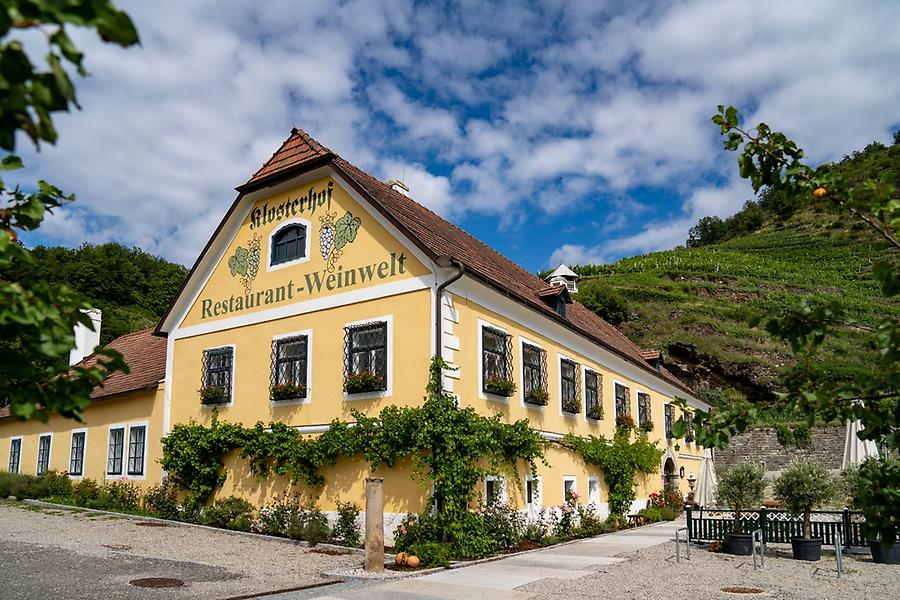 Teambuilding Lehrlinge und Ausbilder und Klosterhof im Weingarten  in Niederösterreich