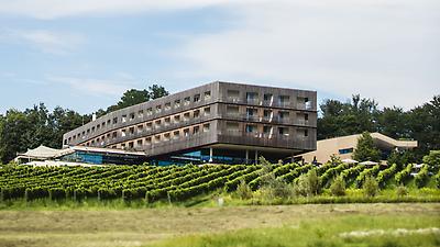 Seminarhotels und Terrassengarten in der Steiermark – Natur direkt vor der Haustüre! Kleingarten im LOISIUM Wine & Spa Hotel in Ehrenhausen